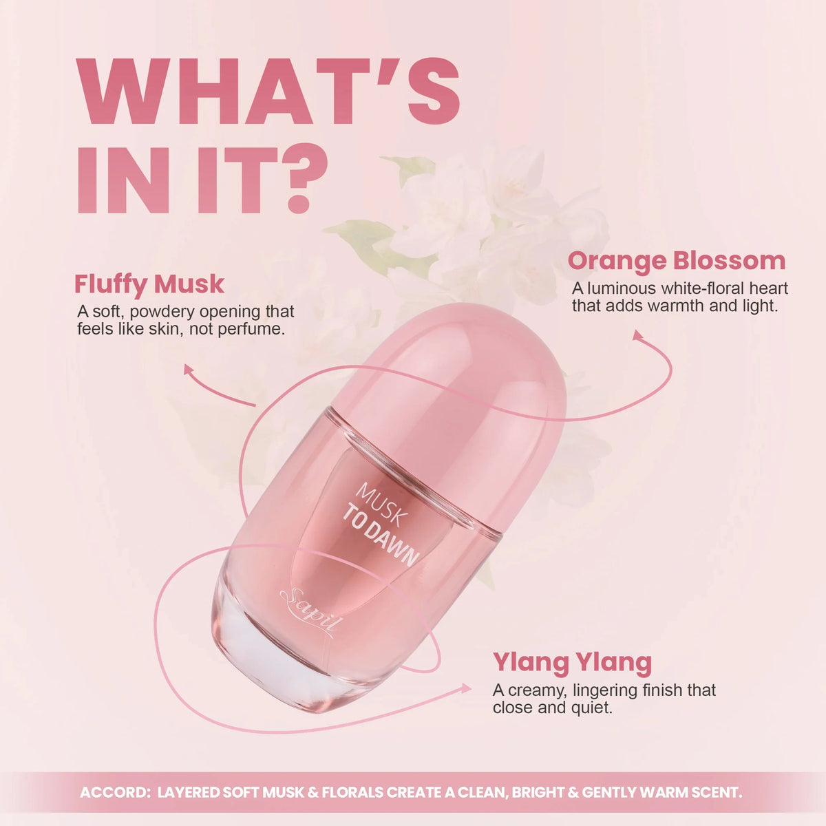 MUSK TO DAWN